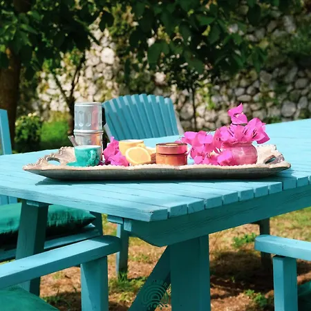 Fattoria Terranova Farm stay