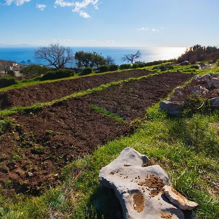 Κατάλυμα σε φάρμα Fattoria Terranova