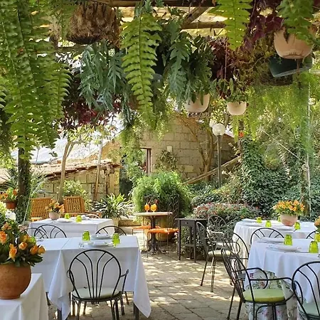 Fattoria Terranova * Sant'Agata sui due Golfi