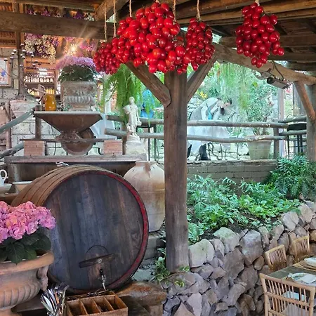 Fattoria Terranova Farm stay Sant'Agata sui due Golfi