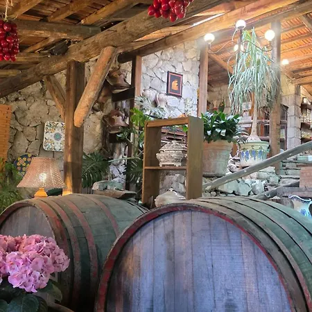 Fattoria Terranova *
