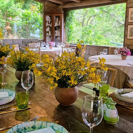 Fattoria Terranova Farm stay