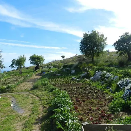 Fattoria Terranova *