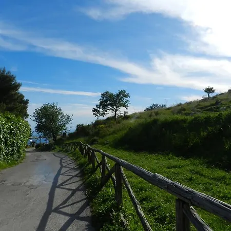 Fattoria Terranova