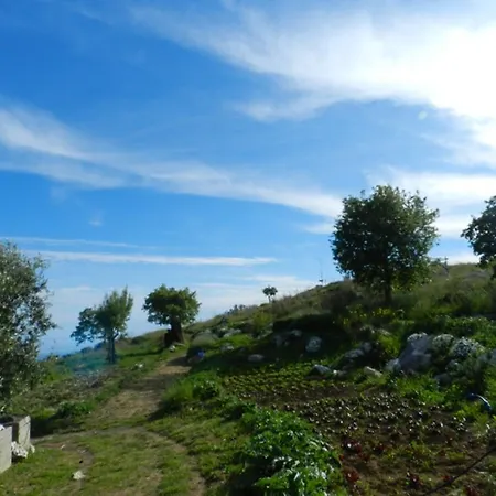Fattoria Terranova Farm stay
