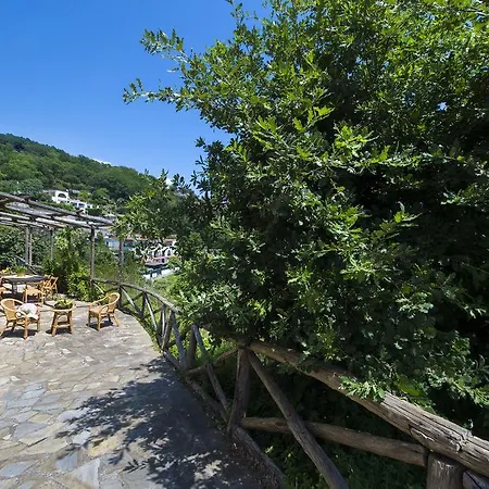 Fattoria Terranova
