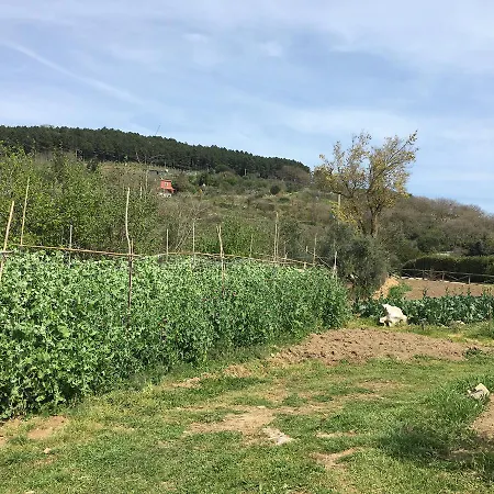 Fattoria Terranova Sant'Agata sui due Golfi