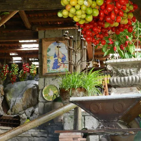 Fattoria Terranova Farm stay Sant'Agata sui due Golfi