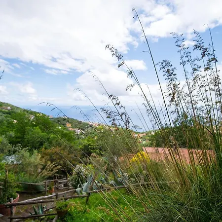 Fattoria Terranova Farm stay Sant'Agata sui due Golfi