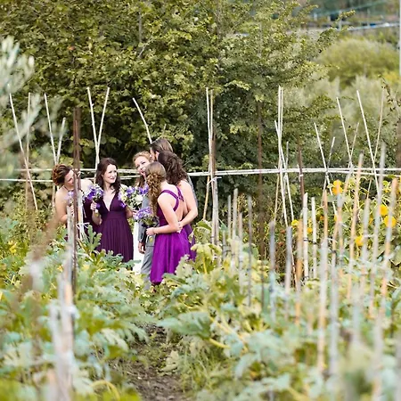 Farm stay Fattoria Terranova